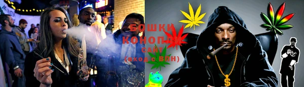 дурь Покачи